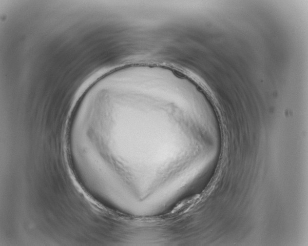 X0000081611440200702051343