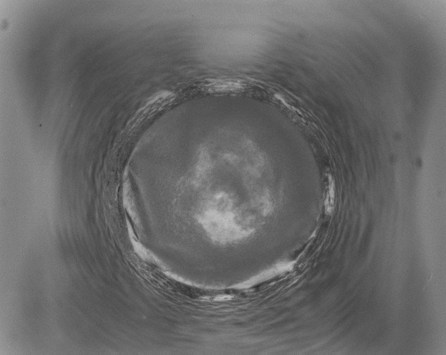 X0000081611441200702051342