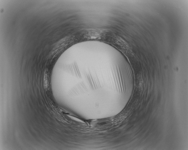 X0000081611442200702051342