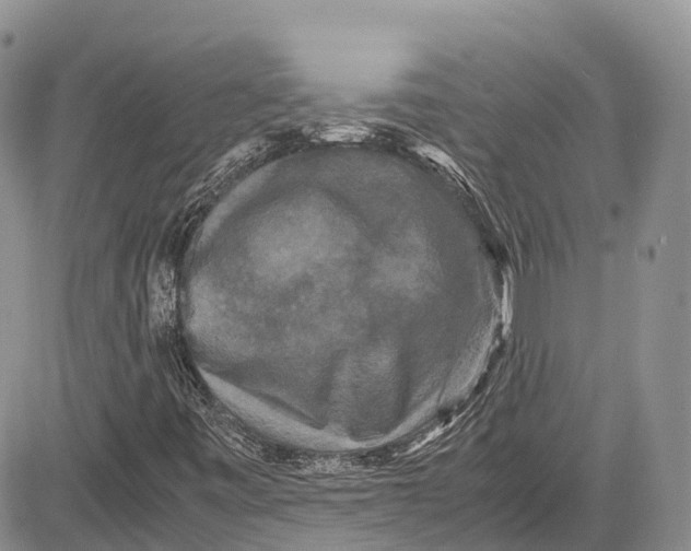 X0000081611443200702051342