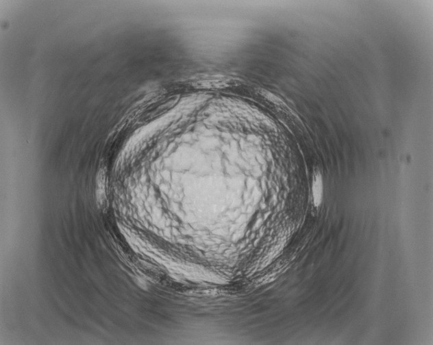 X0000081611444200702051342