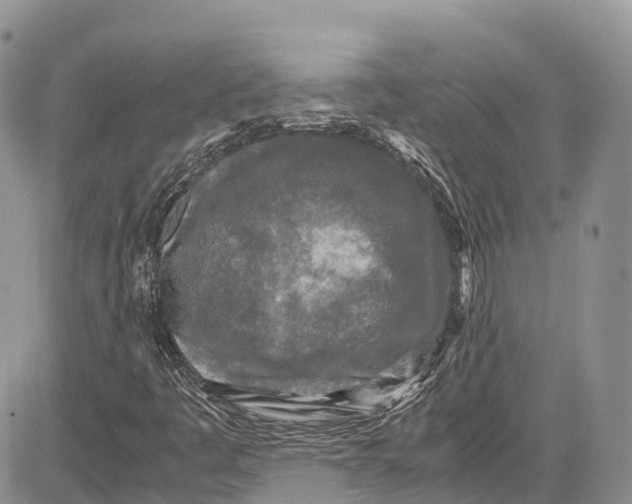 X0000081611445200702051342