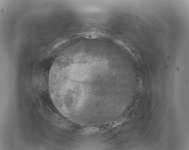 X0000081611446200702051342