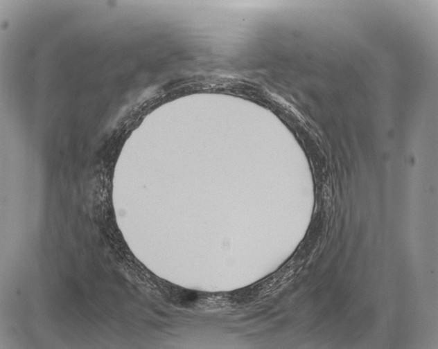 X0000081611447200702051342