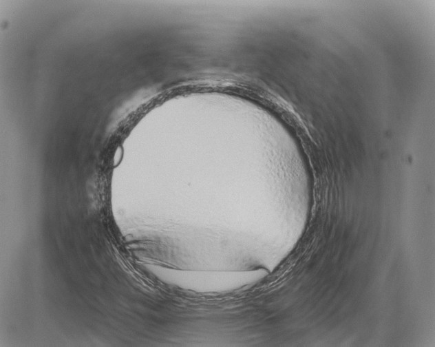 X0000081611448200702051342