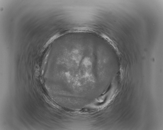 X0000081611449200702051342