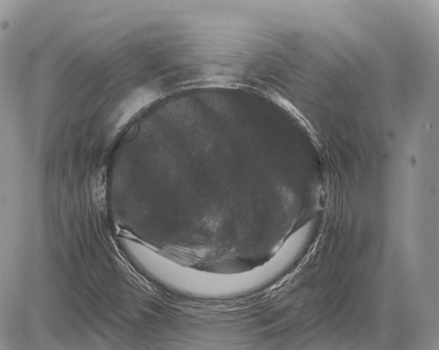 X0000081611450200702051342