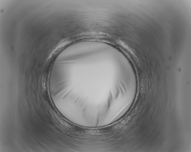 X0000081611451200702051342