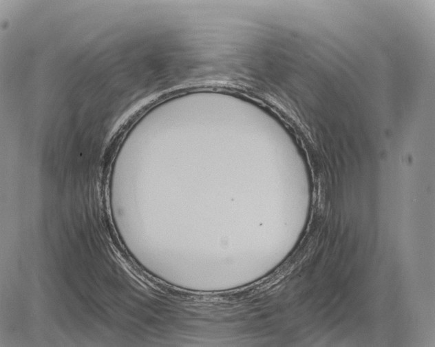 X0000081611452200702051342