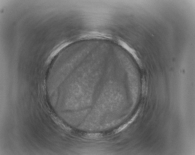 X0000081611453200702051342