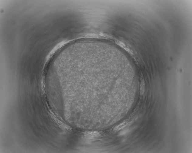 X0000081611454200702051342