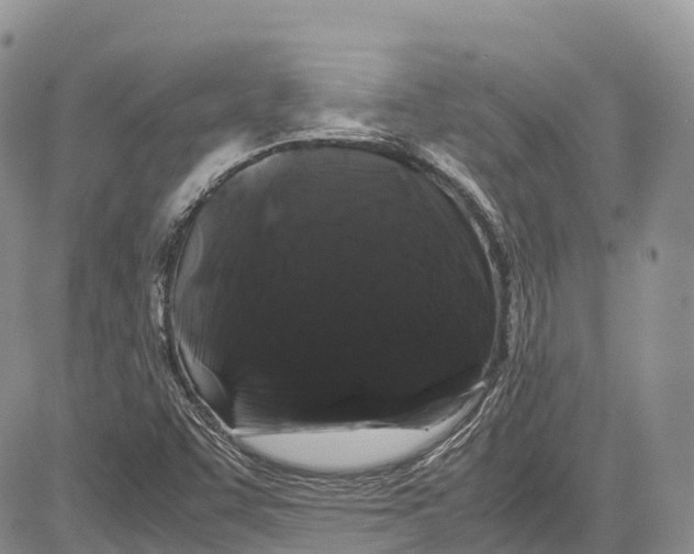 X0000081611455200702051342