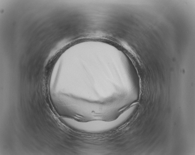 X0000081611456200702051342