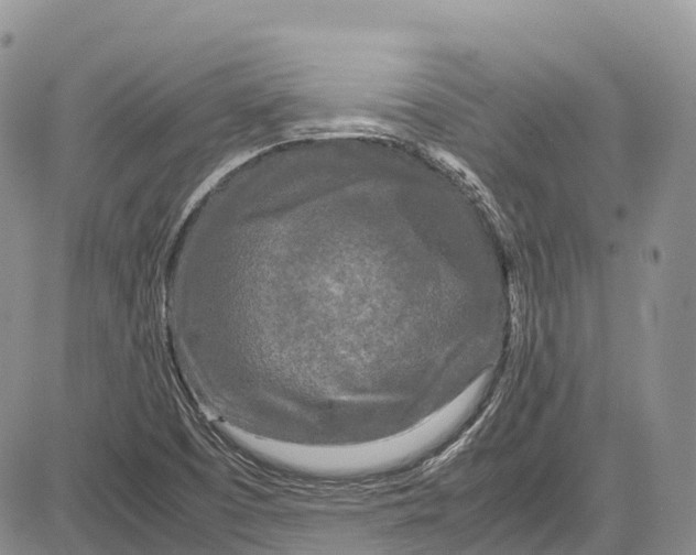 X0000081611457200702051342