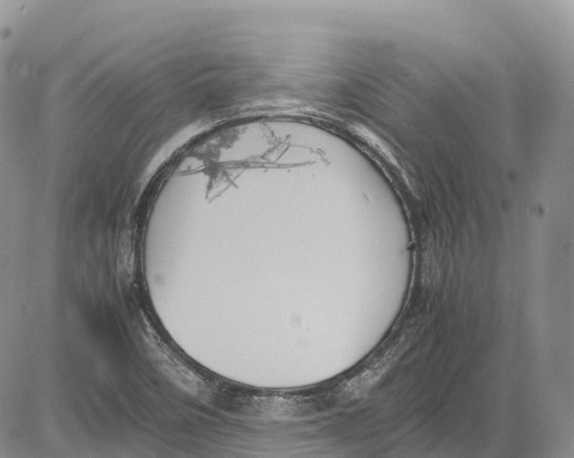 X0000081611458200702051342