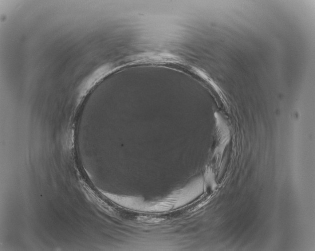 X0000081611459200702051342