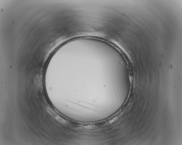 X0000081611460200702051342