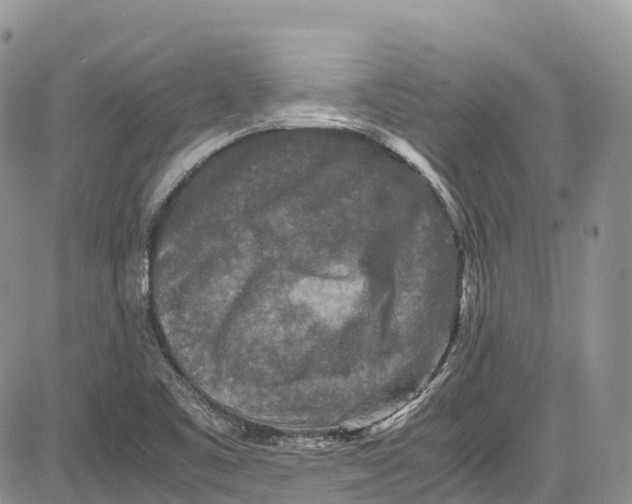 X0000081611461200702051342