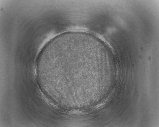 X0000081611462200702051342