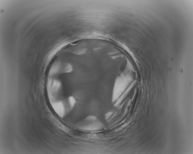 X0000081611463200702051342