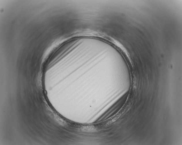 X0000081611464200702051342