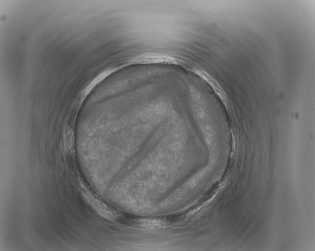 X0000081611465200702051342