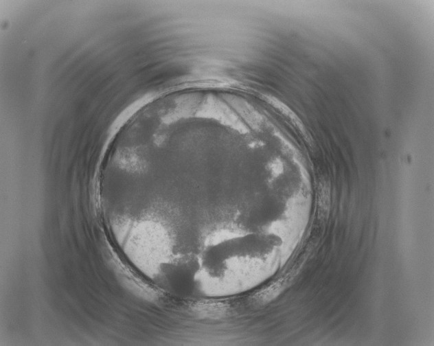 X0000081611466200702051342