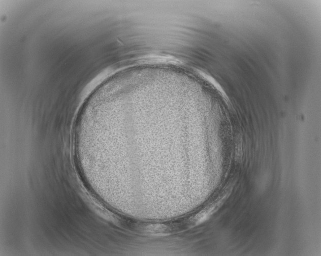 X0000081611467200702051342