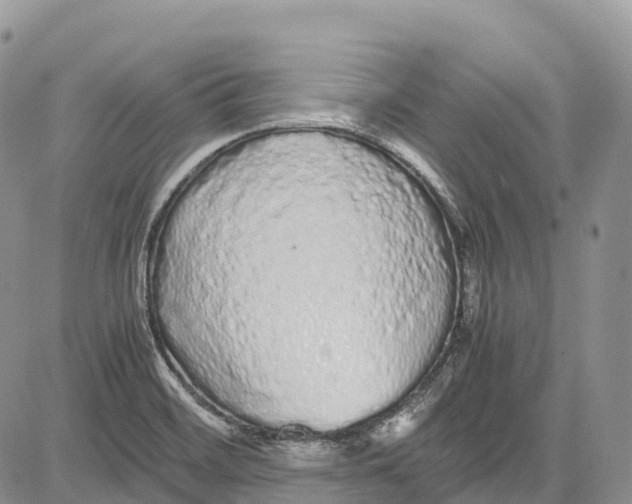 X0000081611468200702051342