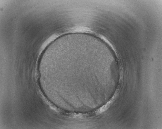 X0000081611469200702051342