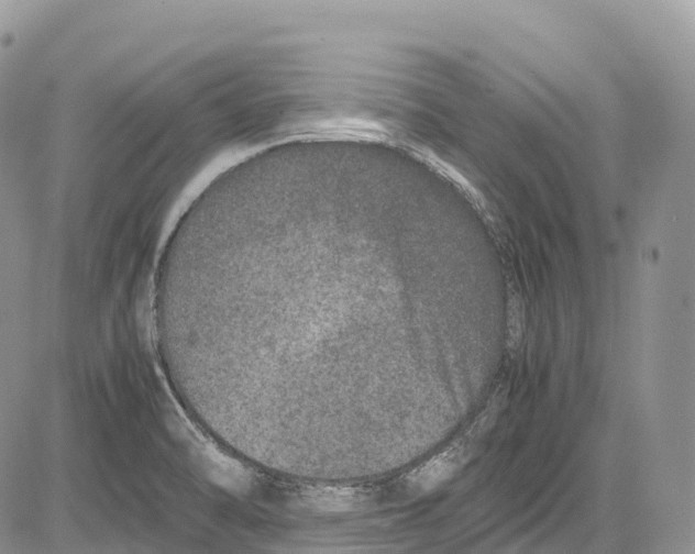 X0000081611470200702051342