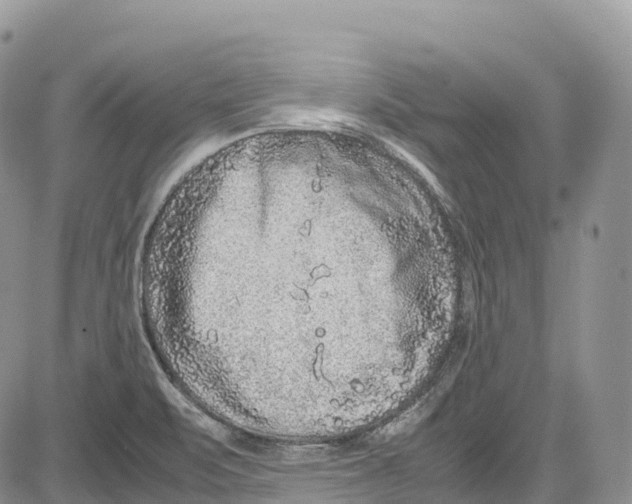 X0000081611471200702051342