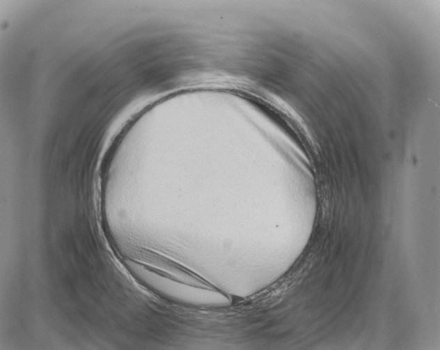 X0000081611472200702051342