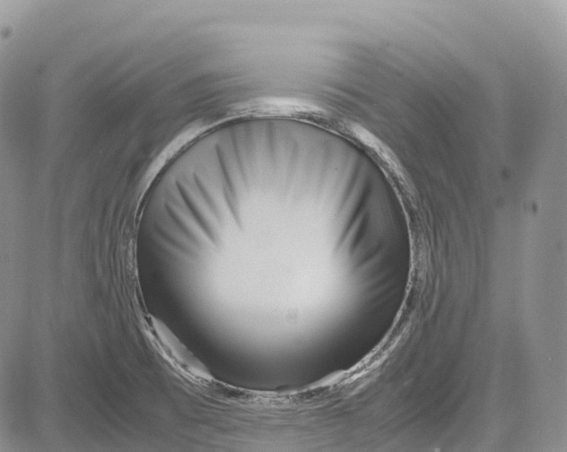 X0000081611473200702051342