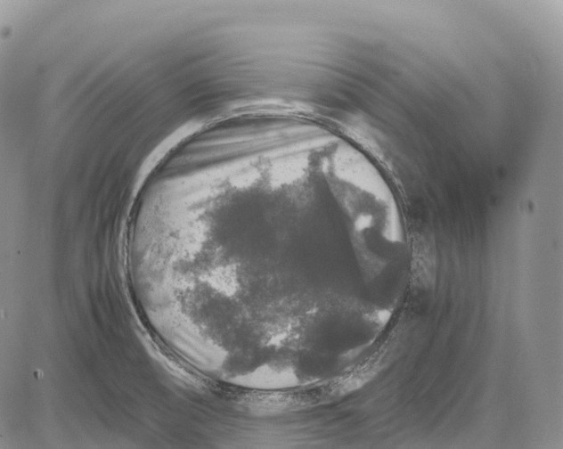 X0000081611474200702051342