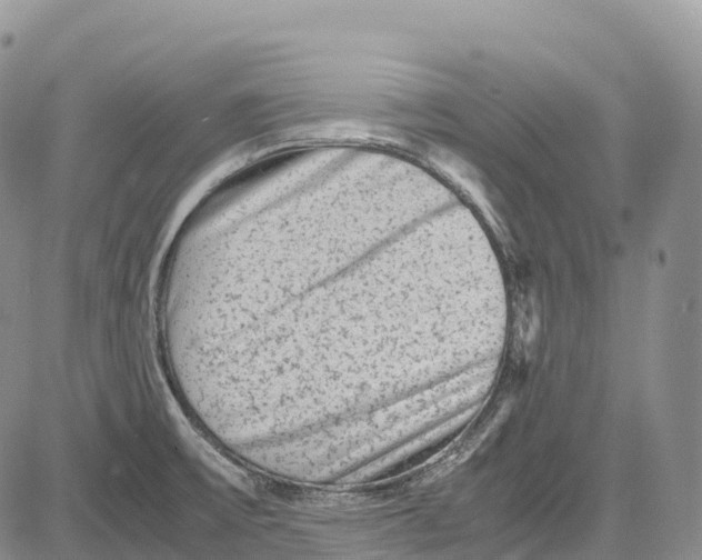 X0000081611475200702051342