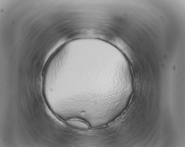 X0000081611476200702051342