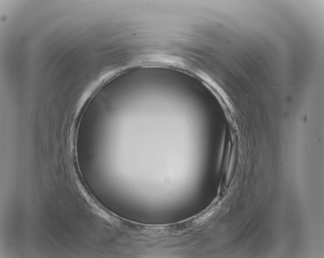 X0000081611477200702051342