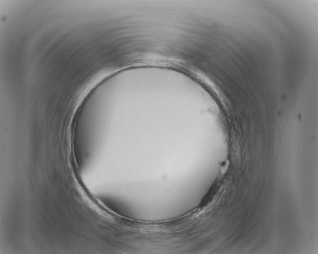 X0000081611479200702051342