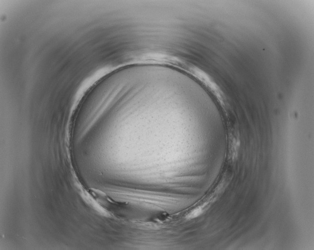 X0000081611480200702051342