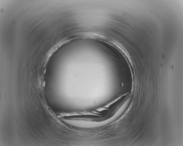 X0000081611481200702051342