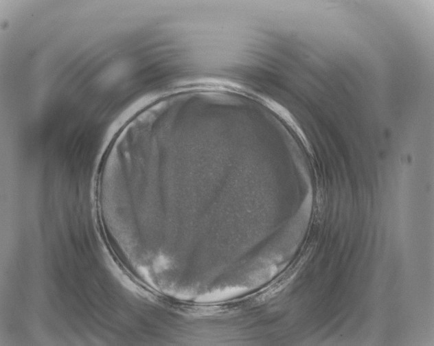 X0000081611482200702051342