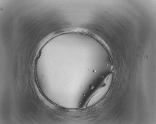 X0000081611483200702051342