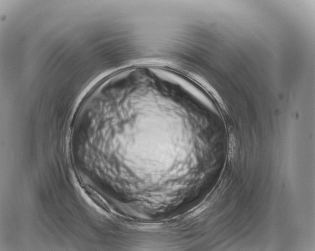 X0000081611484200702051342