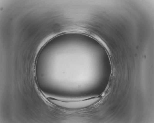 X0000081611485200702051342