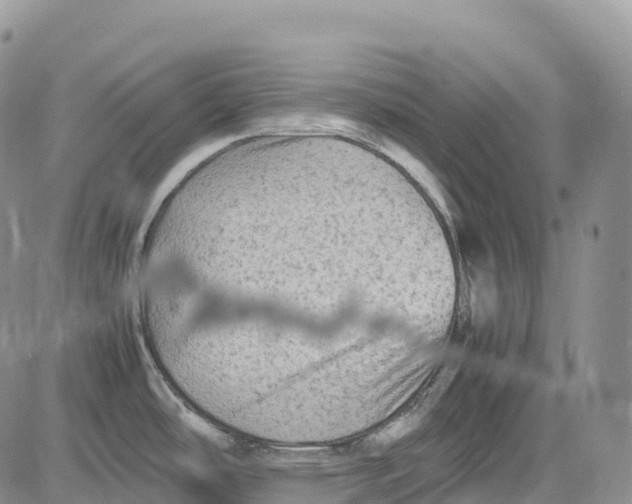 X0000081611486200702051342