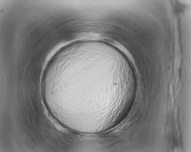 X0000081611488200702051342