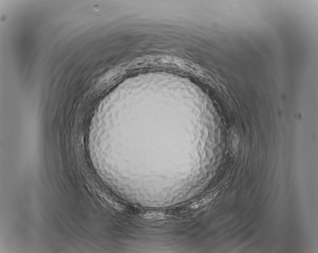 X0000081611489200702051341