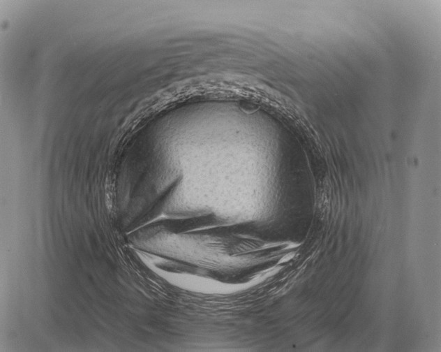 X0000081611490200702051341