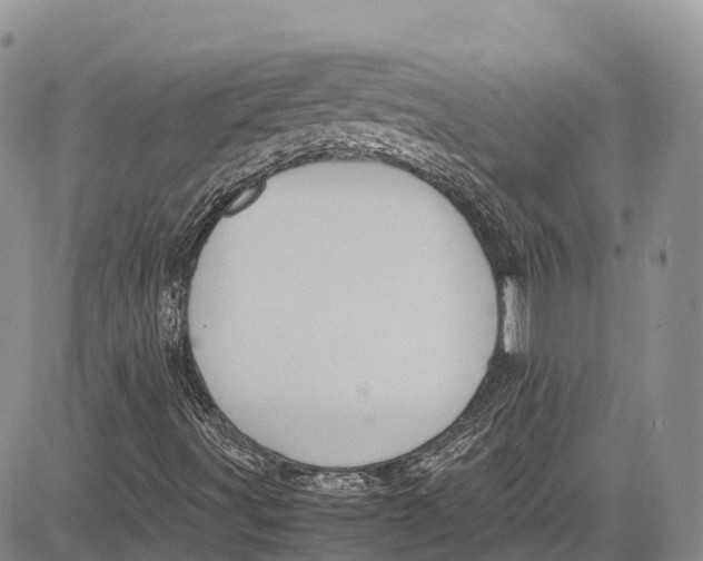 X0000081611491200702051341